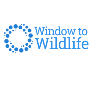 article image - 